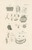 Digital Print - The book of nature, or, The history of insects Pl.23 by Jan Swammerdam