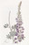 Digital Print - White-leaved Lupine by Sydenham Edwards