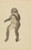 Digital Print - A mandrill by James Sowerby