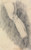 Digital Print - Muscular Study of a Leg by Benjamin Robert Haydon