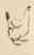Digital Print - Histoires naturelles Pl 02 by Pierre Bonnard