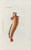 Digital Print - Icones rerum naturalium, ou figures enlumines d'histoire naturelle du nord Pl.19 by Peder Ascanius