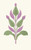 Digital Print - Agreeable Contrast of Plum-Violet and Sage-Green by James Ward