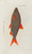 Digital Print - Icones rerum naturalium, ou figures enlumines d'histoire naturelle du nord Pl.42 by Peder Ascanius
