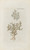 Digital Print - Icones rerum naturalium, ou figures enlumines d'histoire naturelle du nord Pl.48 by Peder Ascanius