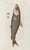 Digital Print - Icones rerum naturalium, ou figures enlumines d'histoire naturelle du nord Pl.24 by Peder Ascanius