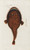 Digital Print - Icones rerum naturalium, ou figures enlumines d'histoire naturelle du nord Pl.35 by Peder Ascanius