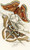 Digital Print - Saturnia Cynthia, Saturnia Mylitta by James Duncan