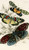 Digital Print - Eterusia tricolor, Erasmia pulchella, Amesia sanguiflua by James Duncan