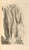 Digital Print - Anatomia humani corporis Pl.077 by Gerard de Lairesse