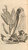 Digital Print - Anatomia humani corporis Pl.086 by Gerard de Lairesse