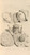 Digital Print - Anatomia humani corporis Pl.020 by Gerard de Lairesse
