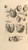 Digital Print - Anatomia humani corporis Pl.023 by Gerard de Lairesse