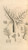 Digital Print - Anatomia humani corporis Pl.026 by Gerard de Lairesse