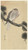 Digital Print - Hawk on pine branch by Ohara Koson