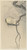 Digital Print - Quack on whimsical branch by Ohara Koson