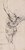Digital Print - Anatomical Study (corch). Standing flayed man seen from the back half turned to the left, his left arm raised_ by Willem Panneels
