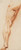 Digital Print - Anatomical Study (corch). A man's flayed left leg seen from the back by Willem Panneels