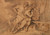 TheEducationofAchilles by Chiron by Giuseppe Cades: Digital File: JPG