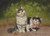 Two kittens by Sophie Sperlich: Digital File: JPG