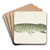 Snoek by Jean Bernard Art Drink Coaster set