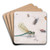 Insects, Butterflies, and a Dragonfly by Jan Van Kessel The Elder Art Drink Coaster set Insects, Butterflies, and a Dragonfly by Jan Van Kessel The Elder Art Drink Coaster set