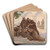 Monks Playing Ballgames by Charles Hermans Art Drink Coaster set Monks Playing Ballgames by Charles Hermans Art Drink Coaster set