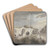 Caves by James Miller Art Drink Coaster set Caves by James Miller Art Drink Coaster set