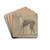 A Greyhound by Sawrey Gilpin Drink Coasters - set of 4