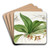 Brown-flowered Trichocentrum by Sydenham Edwards Art Drink Coaster set Brown-flowered Trichocentrum by Sydenham Edwards Art Drink Coaster set