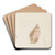 Studies of conch by Adolph Tidemand Art Drink Coaster set Studies of conch by Adolph Tidemand Art Drink Coaster set