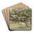 A CottonwoodGrove by John Mix Stanley Art Drink Coaster set