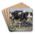 Cows In A Field by Heinrich Von Zgel Art Drink Coaster set