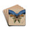 Blue Butterfly by Albert Bierstadt Drink Coasters - set of 4