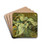Meadow Plants by Theodor Petter Drink Coasters - set of 4