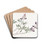 Arid Lupine by Sydenham Edwards Drink Coasters - set of 4