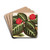 Cyrtodeira fulgida by Charles Antoine Lemaire Drink Coasters - set of 4
