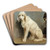 Study Of Two Dogs by Rosa Bonheur Art Drink Coaster set