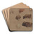 Studies ofCattle by Constant Troyon Art Drink Coaster set