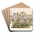 Viola pedata by Charles Antoine Lemaire Art Drink Coaster set