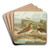 Charadrius morinellus, Arenaria interpres, Charadrius alexandrinus by Johann Friedrich Naumann Art Drink Coaster set Charadrius morinellus, Arenaria interpres, Charadrius alexandrinus by Johann Friedrich Naumann Art Drink Coaster set