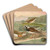 Charadrius asiaticus, Arenaria interpres by Johann Friedrich Naumann Art Drink Coaster set Charadrius asiaticus, Arenaria interpres by Johann Friedrich Naumann Art Drink Coaster set