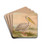 Pelecanus onocrotalus by Johann Friedrich Naumann Drink Coasters - set of 4 Pelecanus onocrotalus by Johann Friedrich Naumann Drink Coasters - set of 4