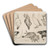 Canards, poissons, etc by Flix Bracquemond Art Drink Coaster set