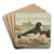 Haematopus ostrilegus by Johann Friedrich Naumann Art Drink Coaster set Haematopus ostrilegus by Johann Friedrich Naumann Art Drink Coaster set