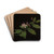 Bltenzweig der Heckenkirsche by Georg Philipp Schmitt Drink Coasters - set of 4