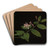Bltenzweig der Heckenkirsche by Georg Philipp Schmitt Art Drink Coaster set