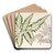 Pteris argyrea by Charles Antoine Lemaire Art Drink Coaster set
