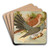 Cuculus canorus by Johann Friedrich Naumann Art Drink Coaster set Cuculus canorus by Johann Friedrich Naumann Art Drink Coaster set