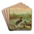 Colymbus fluviatilis Tunst., Kleiner Lappentaucher by Johann Friedrich Naumann Art Drink Coaster set Colymbus fluviatilis Tunst., Kleiner Lappentaucher by Johann Friedrich Naumann Art Drink Coaster set